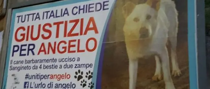 Cane torturato e ucciso a Sangineto, al via il processo