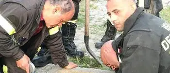 Due gattini caduti in un pozzetto: intervengono i Vigili del fuoco a Lamezia
