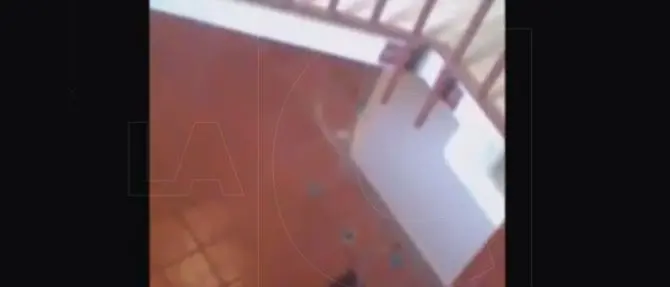Rione Marconi a Reggio Calabria, vivere con i topi in casa (VIDEO)