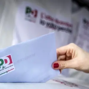 Primarie Pd: sorridono i comitati Renzi