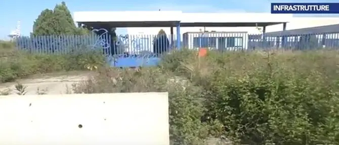 A Gioia Tauro la zona franca è sepolta dalle erbacce: le colpe dello Stato e i ritardi della Zes