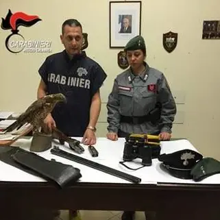 Bracconaggio nei confronti di rapaci migratori: 3 arresti nel Reggino