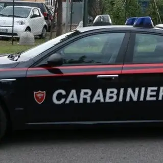 Rubano un trattore a Nocera Terinese e chiedono un riscatto: arrestati