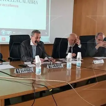 Unical, Ciriaco De Mita e Luigi Zanda al convegno su Aldo Moro