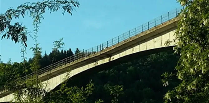 Il ponte di Celico spaventa i genitori degli studenti in gita: si cambia percorso (VIDEO)