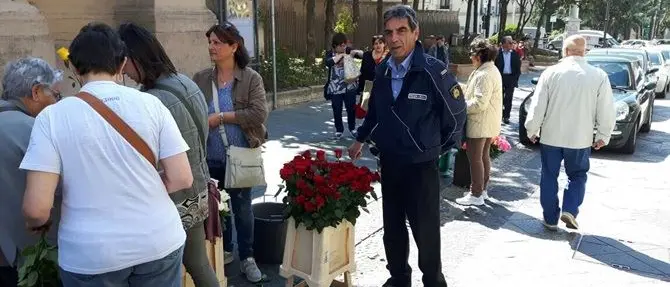 Catanzaro, disposto il sequestro di numerosi ettari di terreni boschivi