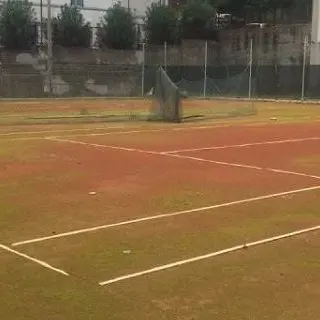 Catanzaro, affidamento campi da tennis: esclusa l’Asd Gruppo Sportivo