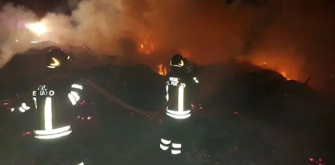 Catanzaro, incendio di vaste dimensioni a Settingiano