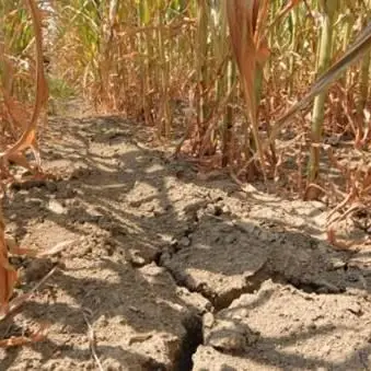 Siccità, in Calabria è allarme estate. Si teme fino -50% di acqua