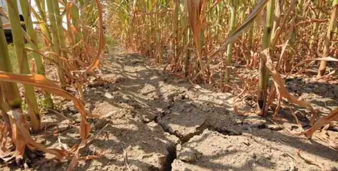 Siccità, in Calabria è allarme estate. Si teme fino -50% di acqua