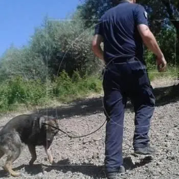 OMICIDIO PRESTIA | Convalidato il fermo del quindicenne reoconfesso