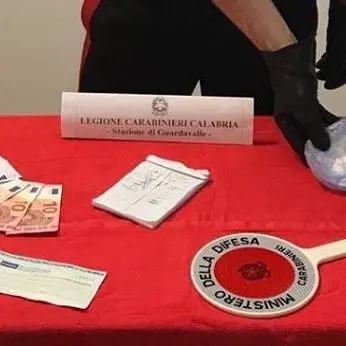 Guardavalle, alla vista dei carabinieri lanciano cocaina dal finestrino: arrestati