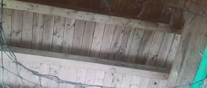 Catanzaro, vandali in azione al Parco della Biodiversità