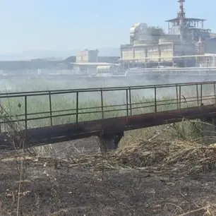 Brucia l'area ex legnochimica di Rende. Sterpaglie o fumi tossici? (VIDEO)