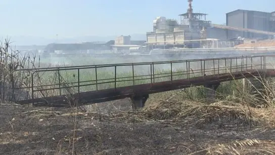 Brucia l'area ex legnochimica di Rende. Sterpaglie o fumi tossici? (VIDEO)