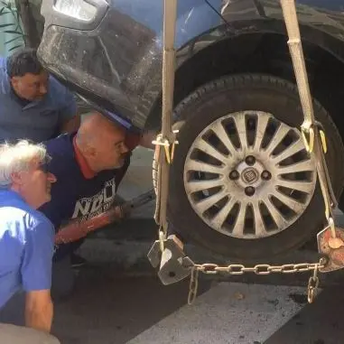 Cosenza, salvano un gattino intrappolato nel motore di un'auto