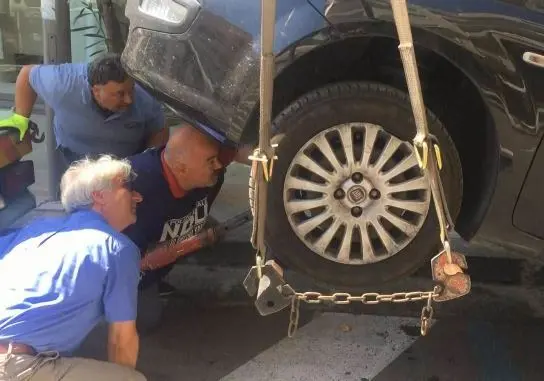 Cosenza, salvano un gattino intrappolato nel motore di un'auto