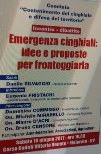 Emergenza cinghiali, iniziativa sabato a Maierato