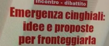 Emergenza cinghiali, iniziativa sabato a Maierato