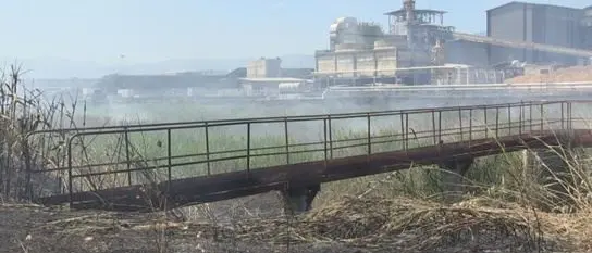 Ex Legnochimica di Rende, scatta divieto di esposizione di indumenti e alimenti