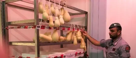 Trasporta prodotti alimentari ammuffiti, deferito all'autorità giudiziaria