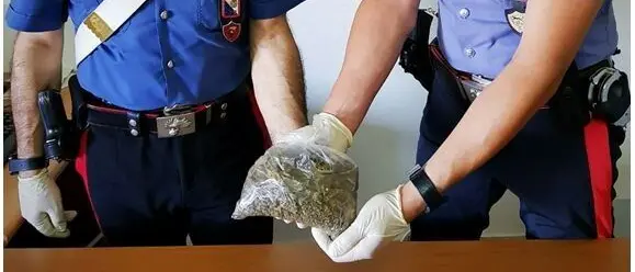 Sorpreso con marijuana a Sellia: arrestato un catanzarese