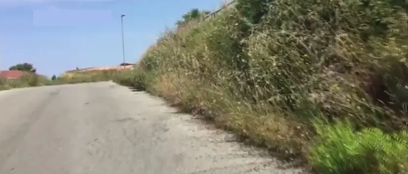 LA DENUNCIA | Vibo, marciapiedi infestati da erbacce: militanti pronti ad agire (VIDEO)