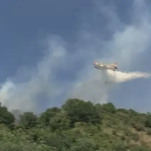 Canadair al lavoro per domare le fiamme sulla costa tirrenica cosentina