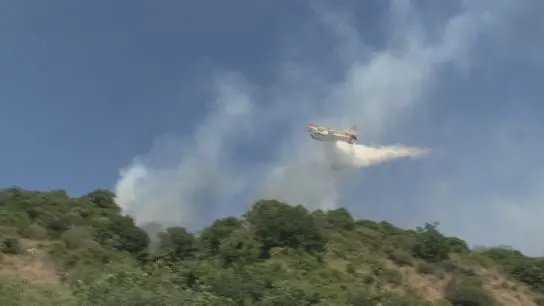 Canadair al lavoro per domare le fiamme sulla costa tirrenica cosentina