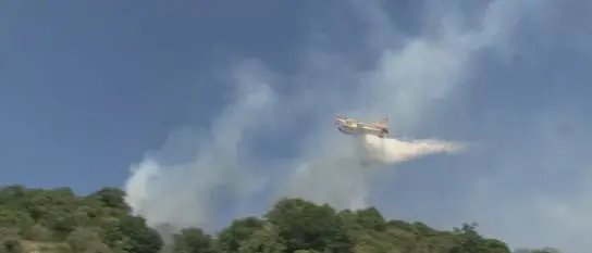 Canadair al lavoro per domare le fiamme sulla costa tirrenica cosentina