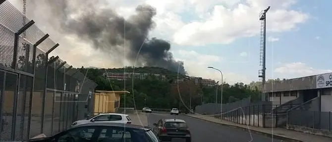 Rende, vasto incendio nei pressi della frazione Sant’Agostino (VIDEO)