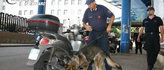 Catanzaro, unità cinofile e artificieri hanno setacciato gli uffici giudiziari