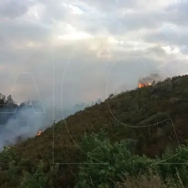 Incendio a Sant'Agostino di Rende, il sindaco presenta denuncia contro ignoti