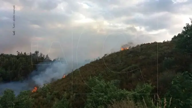 Incendio a Sant'Agostino di Rende, il sindaco presenta denuncia contro ignoti