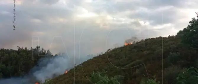 Incendio a Sant'Agostino di Rende, il sindaco presenta denuncia contro ignoti