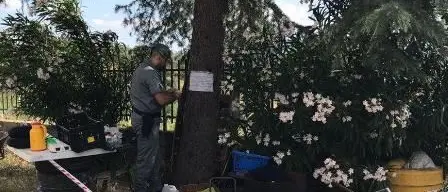 Discarica di rifiuti speciali sequestrata a Montalto Uffugo