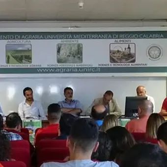 Apicoltura, Aprocal e Università di Reggio Calabria insieme per l’ambiente