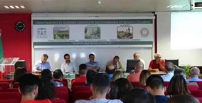 Apicoltura, Aprocal e Università di Reggio Calabria insieme per l’ambiente