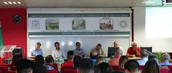Apicoltura, Aprocal e Università di Reggio Calabria insieme per l’ambiente