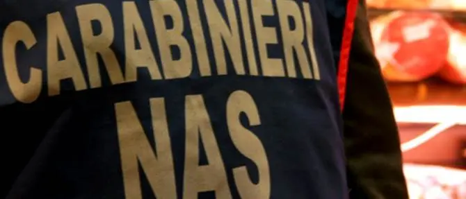 Pizzo, carenze igienico-sanitarie e lavoratori non in regola in un ristorante