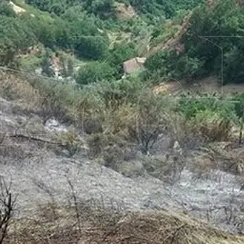 Vasto incendio nell’area periferica di Cosenza, intervengono i vigili del fuoco