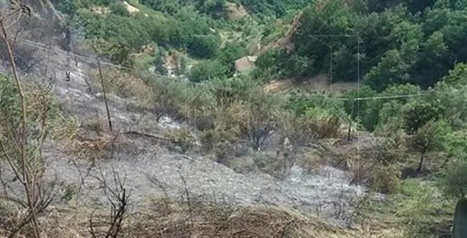 Vasto incendio nell’area periferica di Cosenza, intervengono i vigili del fuoco