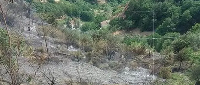 Vasto incendio nell’area periferica di Cosenza, intervengono i vigili del fuoco