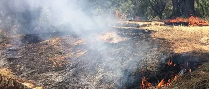 Gioia Tauro, furti e danneggiamenti su terreni confiscati alla ‘ndrangheta