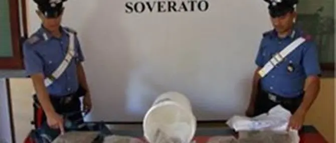 San Sostene, 4 chili di marijuana nel magazzino del bar