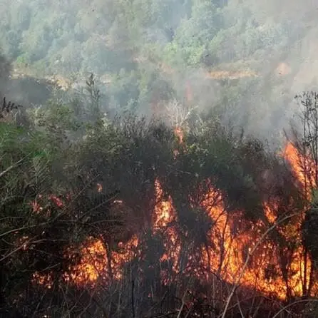 Emergenza incendi, in fiamme le montagne tra Belcastro e Petroná nel Catanzarese