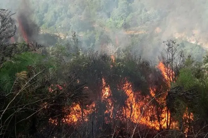 Emergenza incendi, in fiamme le montagne tra Belcastro e Petroná nel Catanzarese