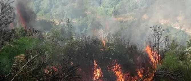 Emergenza incendi, in fiamme le montagne tra Belcastro e Petroná nel Catanzarese