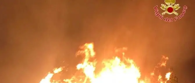 Allarme incendi nel Vibonese, in fiamme vasta area a Zaccanopoli