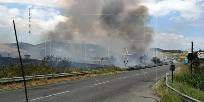 Vasto incendio a Catanzaro, chiusa via Emilia